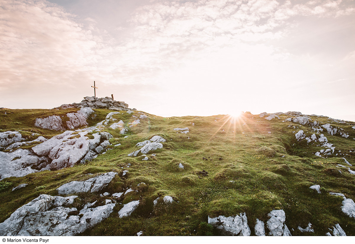 Trek Safari - King Dachstein Trail pro běžce 30